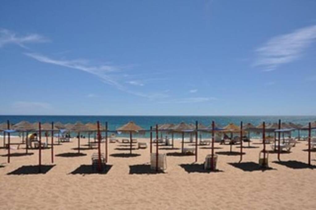 Apartamento Millenium Vista Mar- 2 Passos Da Praia كوارتيرا المظهر الخارجي الصورة